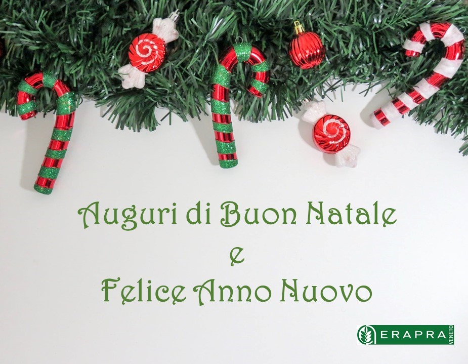 Buone Feste Erapra